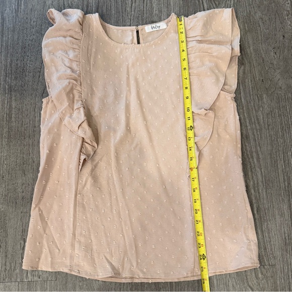 Briley Swiss Dot Top NWOT - Picture 11 of 13